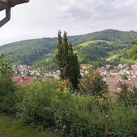Das Tor Zum Odenwald Gorxheimertal Luaran gambar