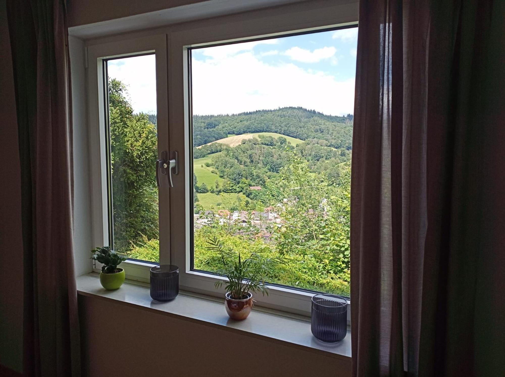 Das Tor Zum Odenwald Gorxheimertal Luaran gambar