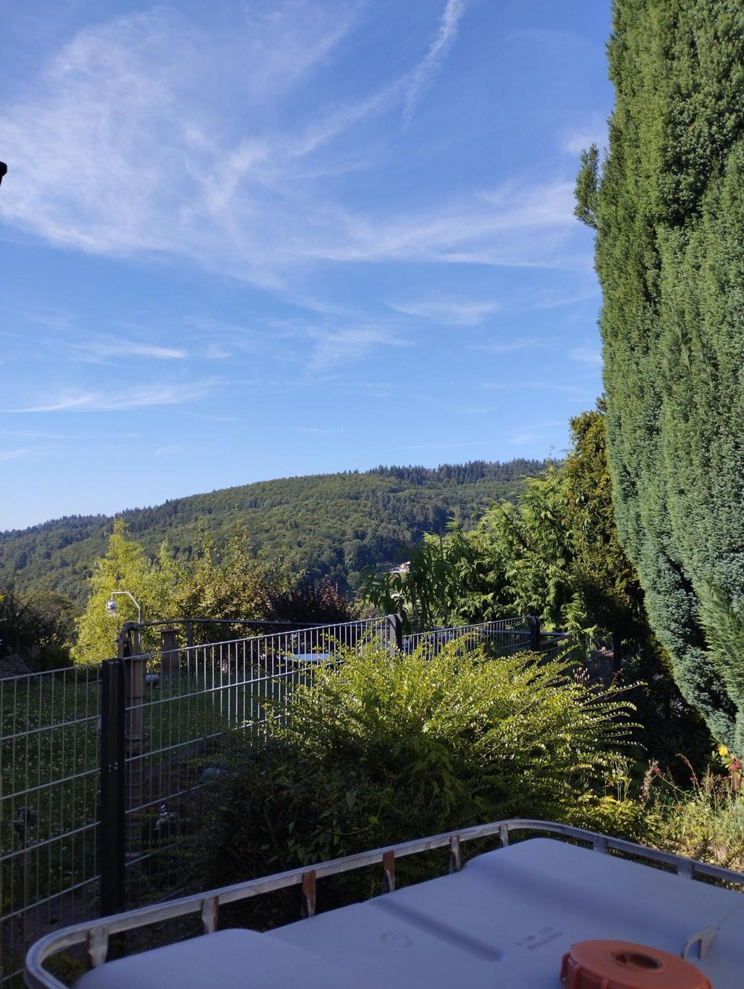 Das Tor Zum Odenwald Gorxheimertal Luaran gambar