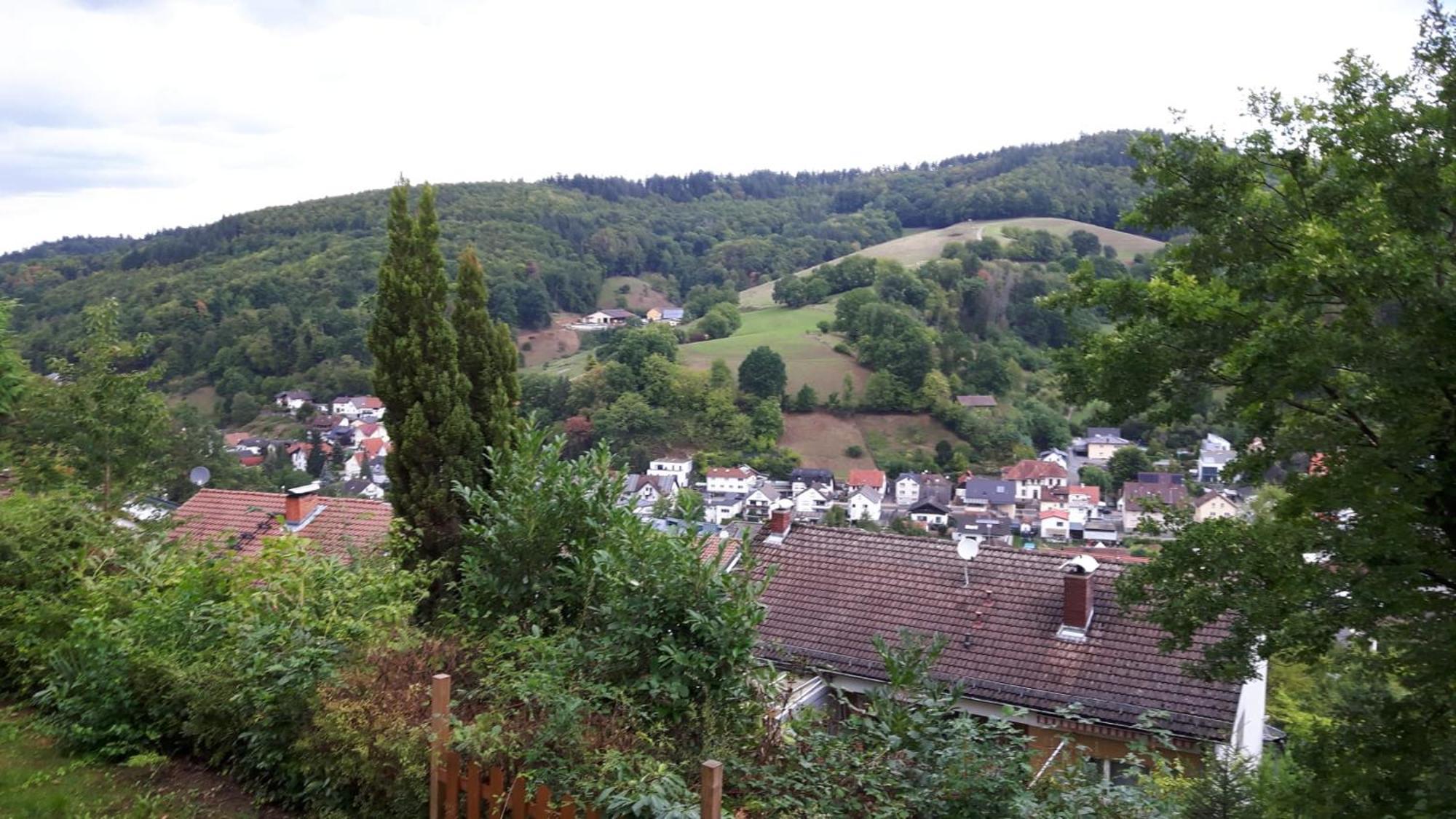 Das Tor Zum Odenwald Gorxheimertal Luaran gambar