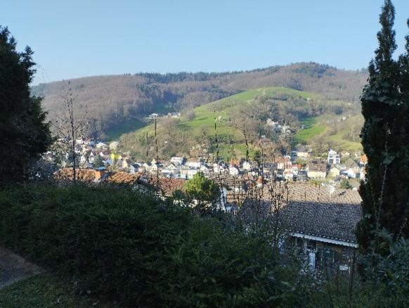 Das Tor Zum Odenwald Gorxheimertal Luaran gambar